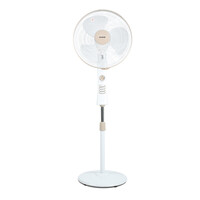 [Online Exclusive] 16" Stand Fan